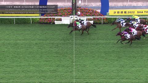 Horse_Race_2022052209_Chinese
