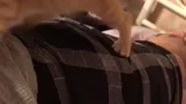 Cutest moment with his daddy (when he was 14 weeks old)