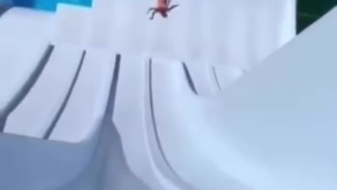 News Break: Name this move. Full Scorpion?