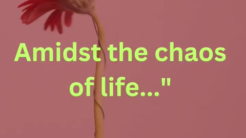 Amidst the Chao's of life #viral