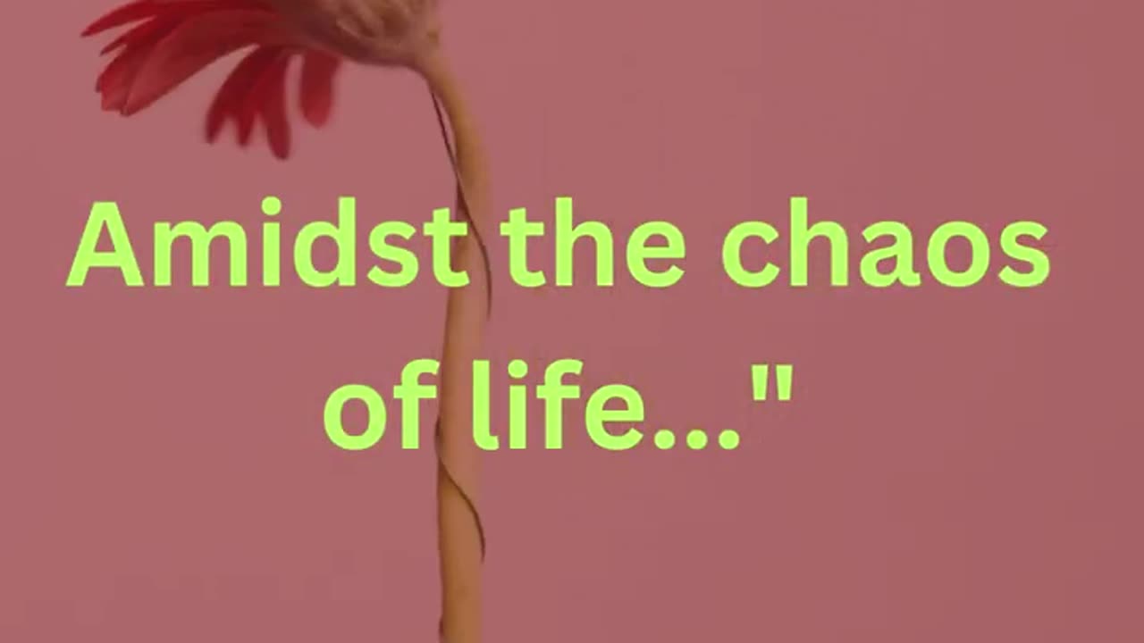 Amidst the Chao's of life #viral