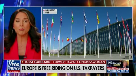 Tulsi on NATO: They expect us to put up the lives of my brothers and sisters in uniform