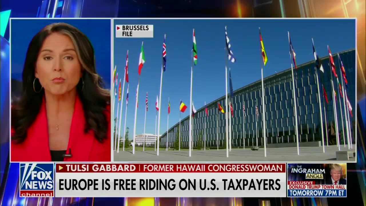 Tulsi on NATO: They expect us to put up the lives of my brothers and sisters in uniform