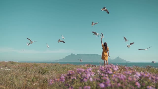 BE HAPPY WITH FEEDS SEA BIRDS