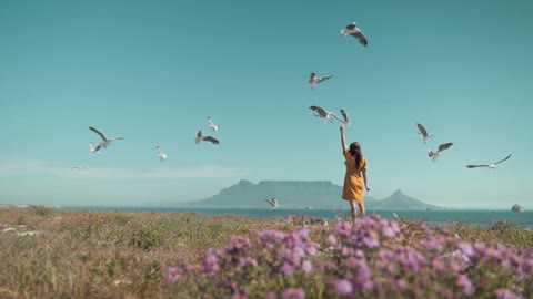 BE HAPPY WITH FEEDS SEA BIRDS