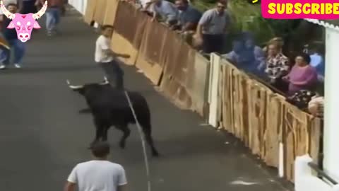 New bull video2k22|| Bull fight|| funny video||🐃🐂🐄😤😃😄😂🤣😅