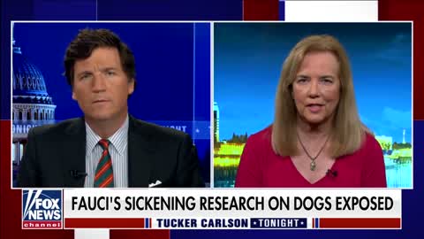 PETA executive calls for Dr. Fauci's resignation