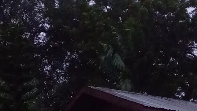 This it sa short fotage the begining of typhoon oddet 10 months ago