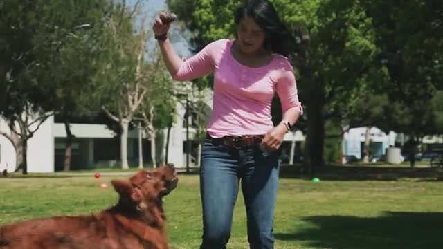 A beautiful girl playing with cute πΆπΆππ
