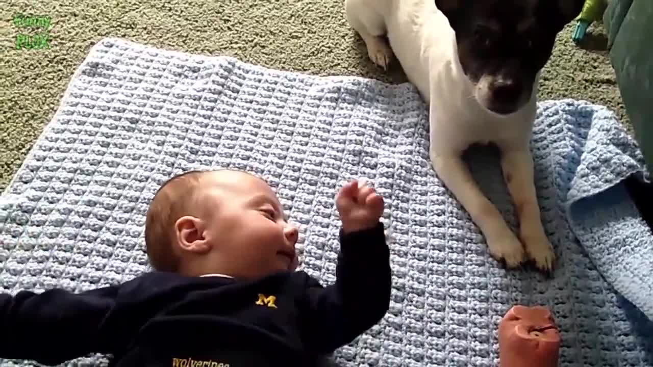 Cute Cats and Dogs Love Babies