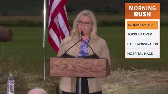 Liz Cheney defeated in Wyoming GOP primary