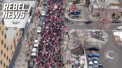 Calgary Freedom Convoy Standing with Ottawa