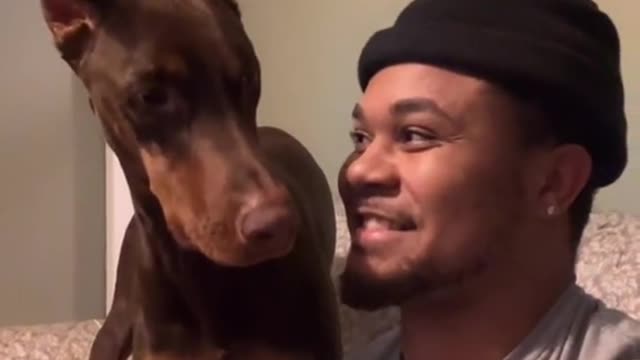 Bark at your dog
