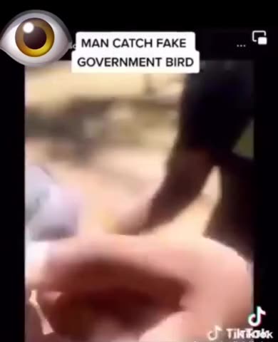 Drones as plastic Spy Birds - TOTAL SURVEILLANCE - George Orvell 1984