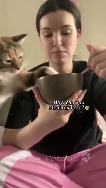 Cate 🐱🐱🐱Funny🤣 videos