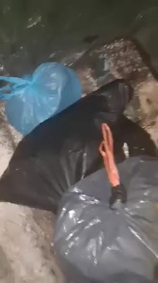 Bomberos logran reunir a una madre desnutrida junto a sus 13 cachorros tras un heroico rescate (2)