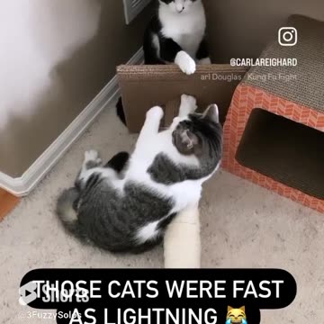 Everybody was Kung Fu Fighting