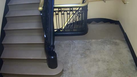 5189CHOB04Stair3_2021-01-06_07h40min02s183ms.mp4