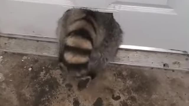 This is because someone is eating too much!