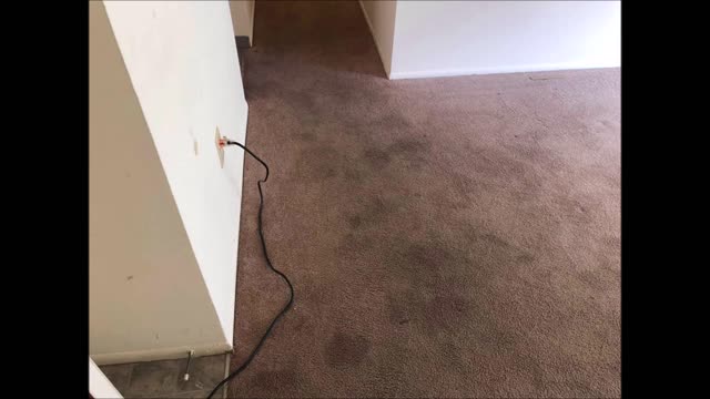 USA Carpet Care - (586) 210-6318