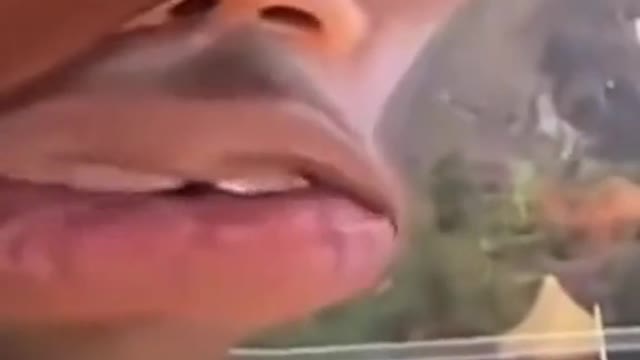 Tyler, The Creator being funny without even trying