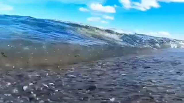 Beach vibes๐๐