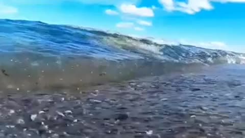Beach vibes🌀💙