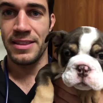 Baby and puppy besties love playing outside together #1258