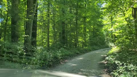 Leaving Wilkins Cemetery