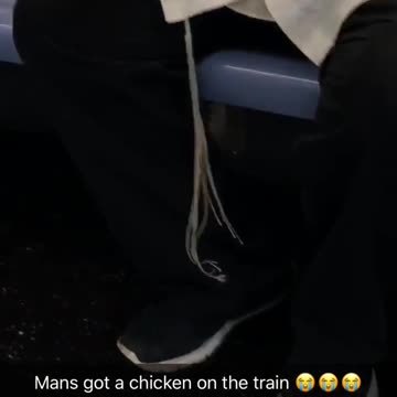 A man has a chicken on train seat