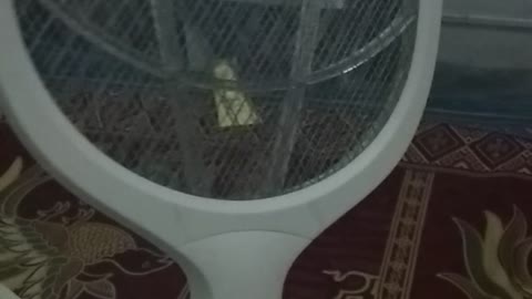 Mosquito Racket