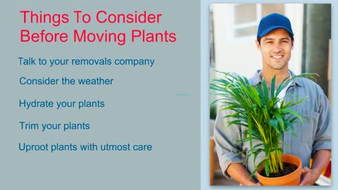 Tips & Tricks to Move Household And Garden Plants?