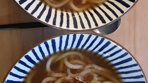 Two bowls of udon