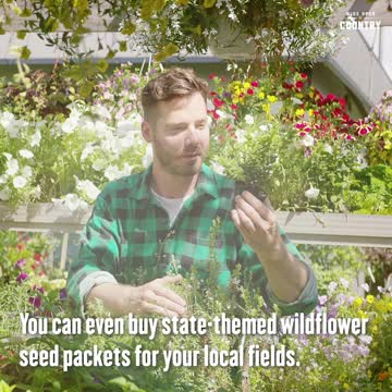 Texas' Wildflower Season Is in Full Bloom, Y'all