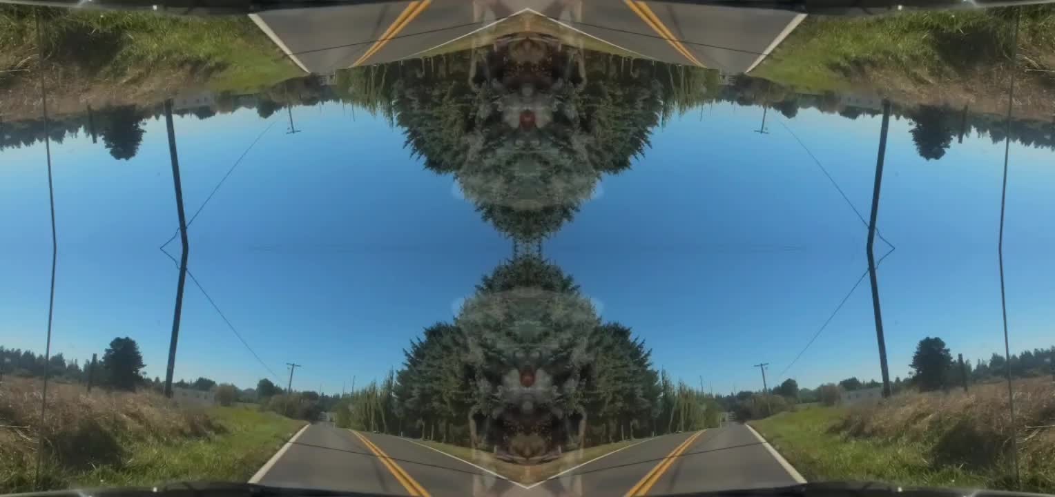 Driving through the country with mirror effect