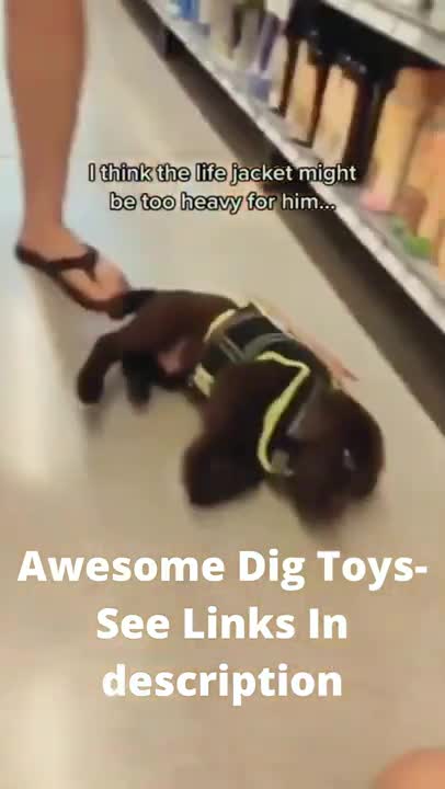 Funny dogs compilation 2022-Try not to laugh