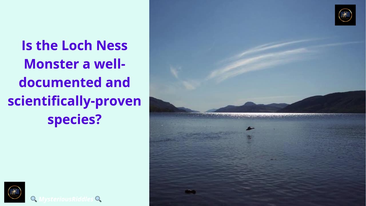 📸 🔍 The Most Compelling Evidence of the Loch Ness Monster 📸 🔍