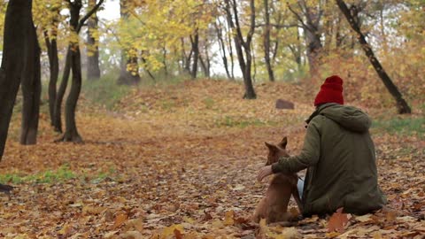 Portrait of woman with her dog in autumn park