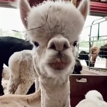 What is the name of you🤔