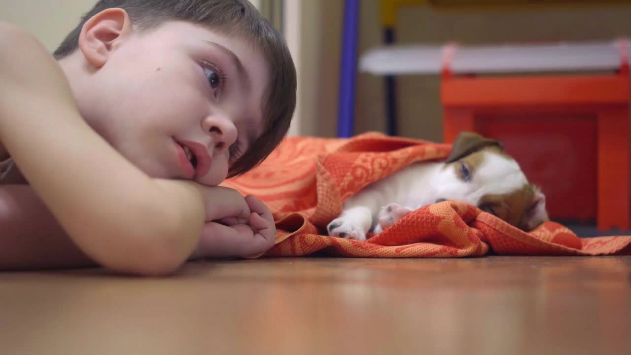 A simple child next to his four legged dog friend is watching a cartoon carefully