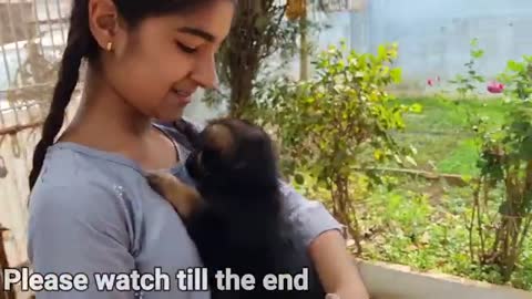 Jerry became very excited to meet baby and puppy||German Shepherd