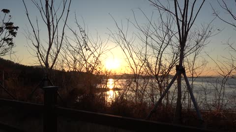 Sunset and sea and branches