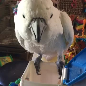 Don't touch my barn!