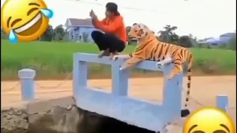 Funny video awesome comdy