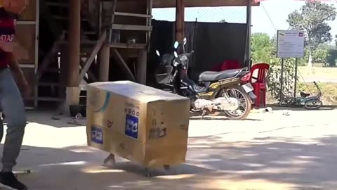 Troll Prank Dog Funny & fake Lion and Fake Tiger Prank To dog & Huge Box Prank to dog