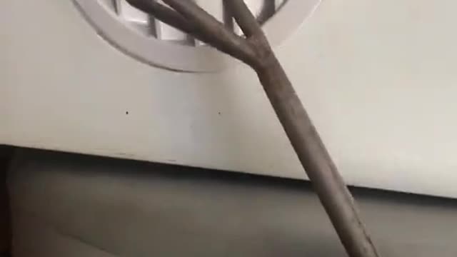secret inside