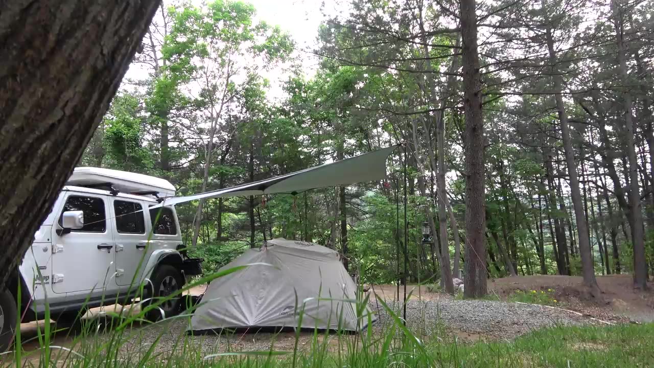 What will come out? Camping alone in the deep woods under the tarp overnight