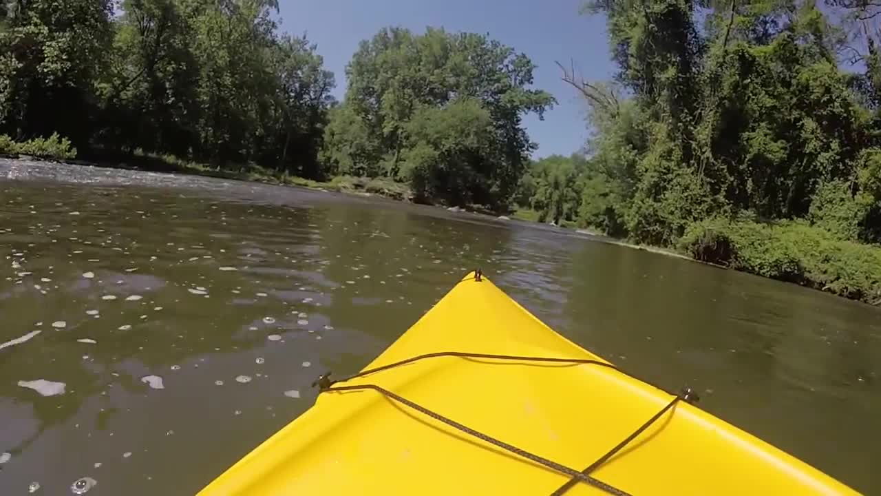 Kayaking Brandywine River, Chadds Ford, PA