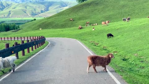 Are you sure you don't want to see this beautiful view?