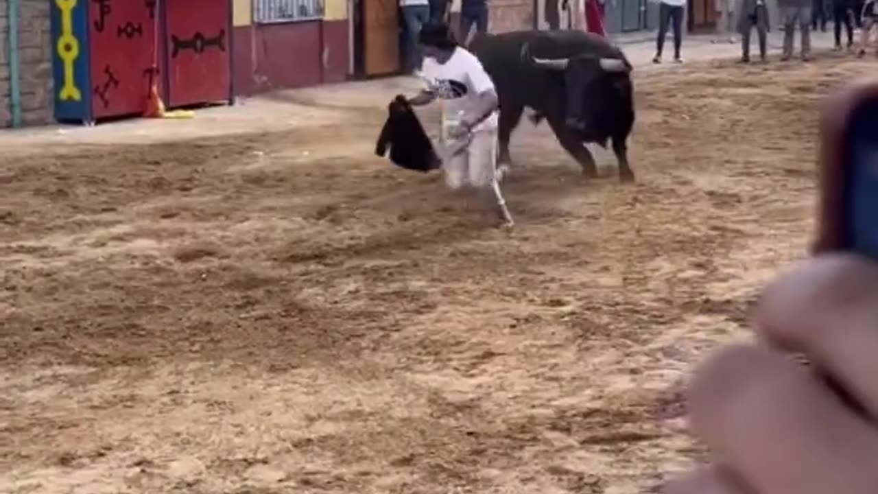 ♥️ PRÍNCIPE_ EL TORO DEL AÑO‼️VALL DE UXÓ (Castellón)